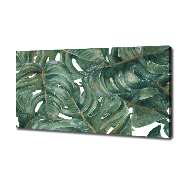 Tablou canvas Monstera