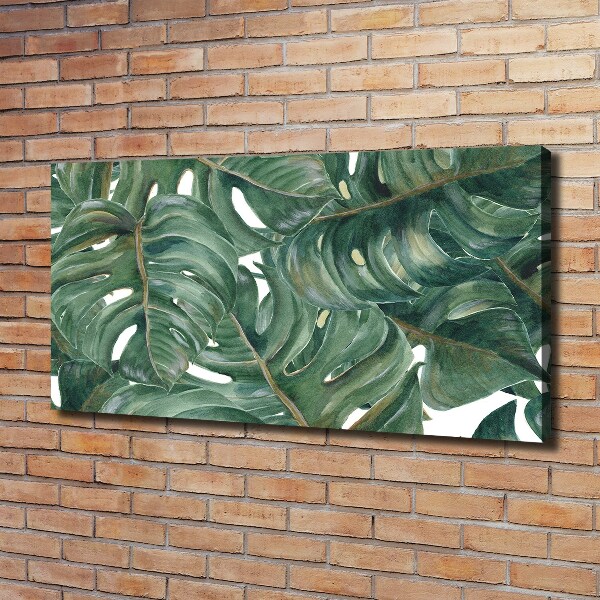 Tablou canvas Monstera