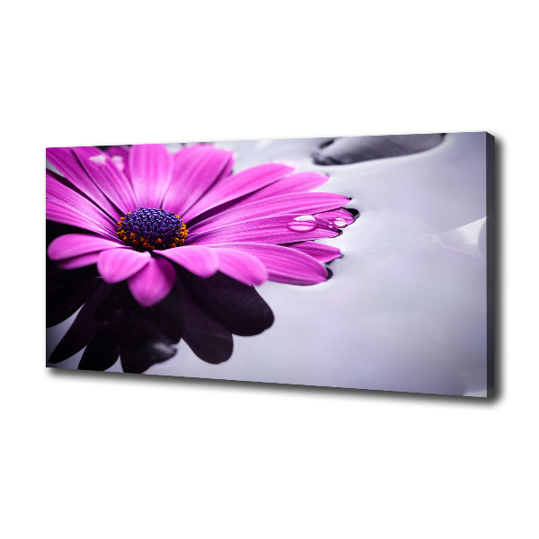 Imprimare tablou canvas gerbera