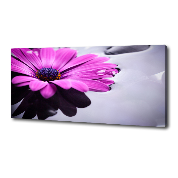 Imprimare tablou canvas gerbera