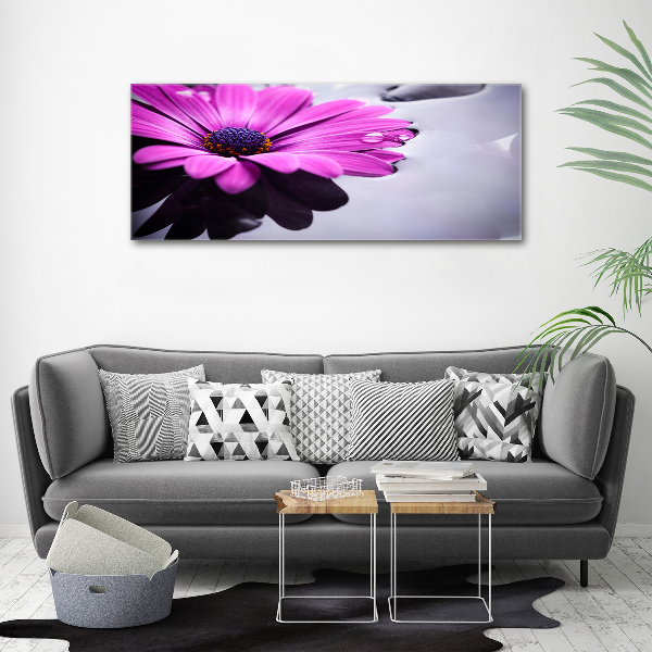 Imprimare tablou canvas gerbera