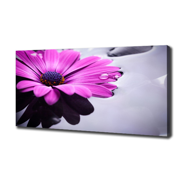 Imprimare tablou canvas gerbera