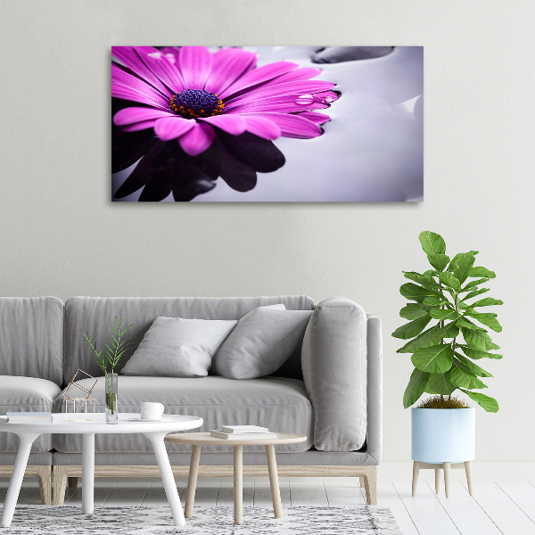 Imprimare tablou canvas gerbera