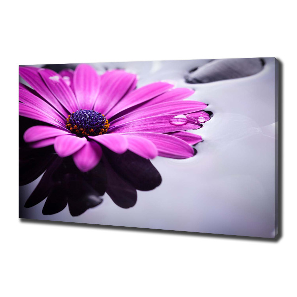 Imprimare tablou canvas gerbera