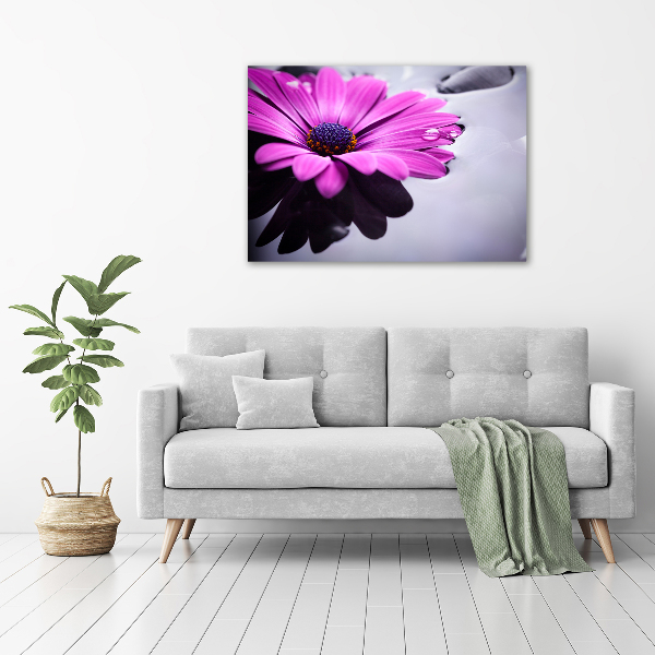 Imprimare tablou canvas gerbera