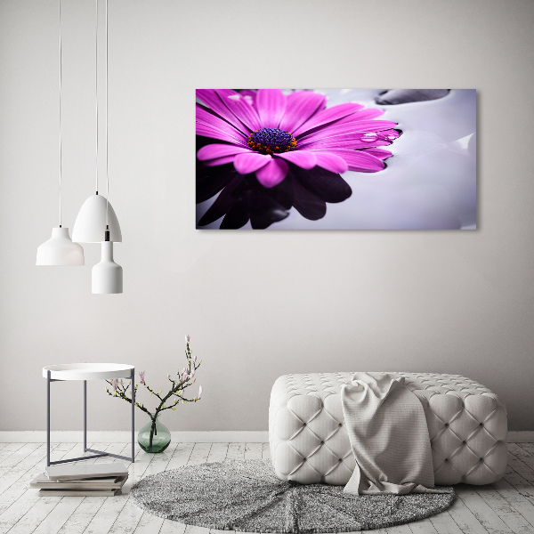 Imprimare tablou canvas gerbera