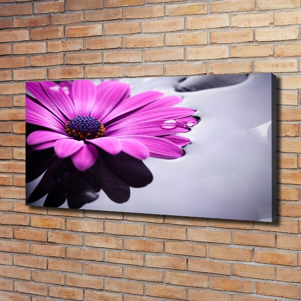 Imprimare tablou canvas gerbera