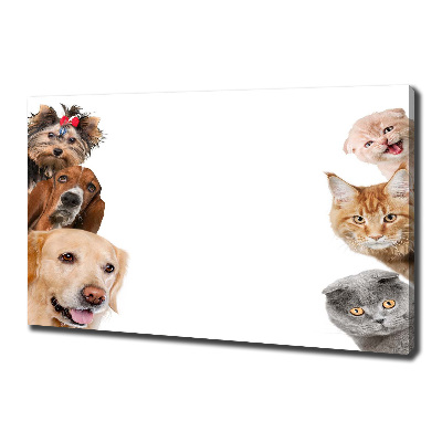 Tablou pe pânză canvas Câini și pisici