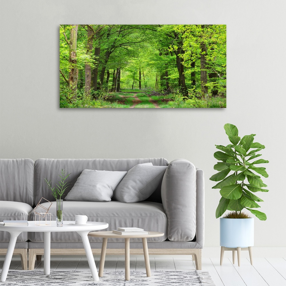 Tablou canvas pădure de primăvară