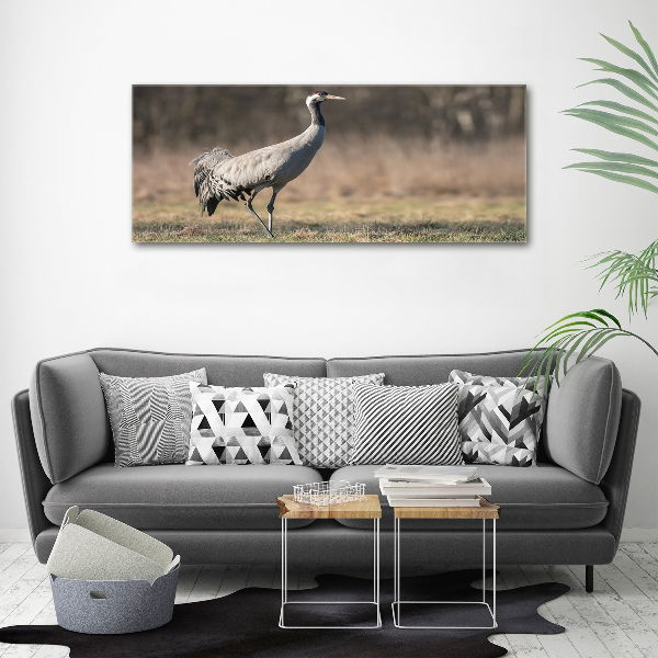Tablou canvas Stârc