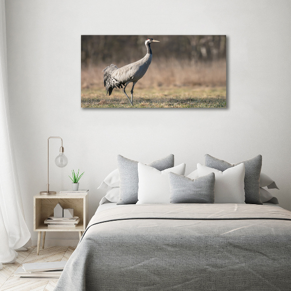 Tablou canvas Stârc