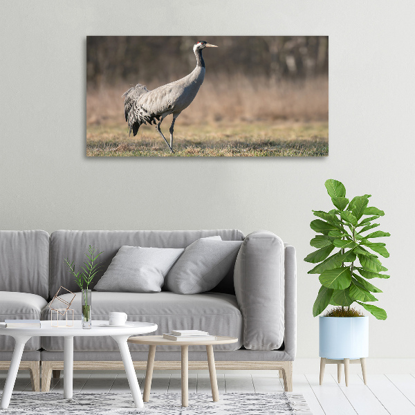 Tablou canvas Stârc