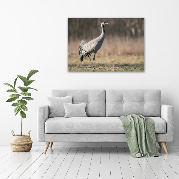 Tablou canvas Stârc