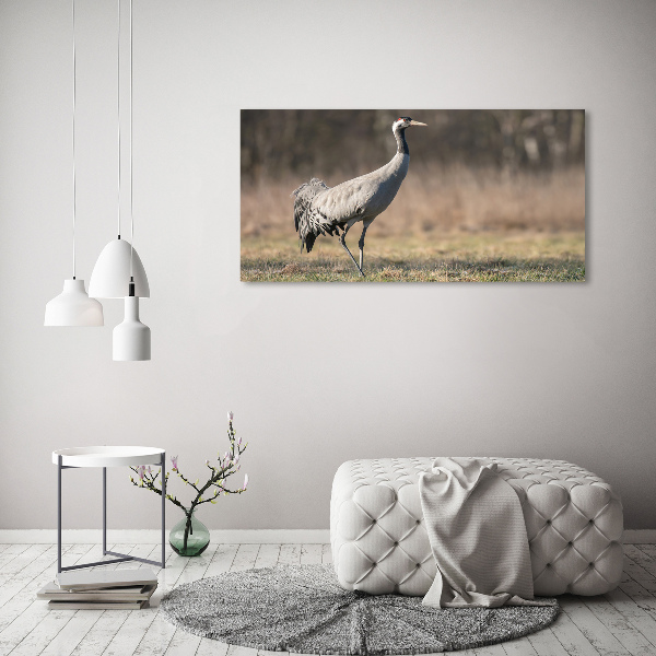 Tablou canvas Stârc