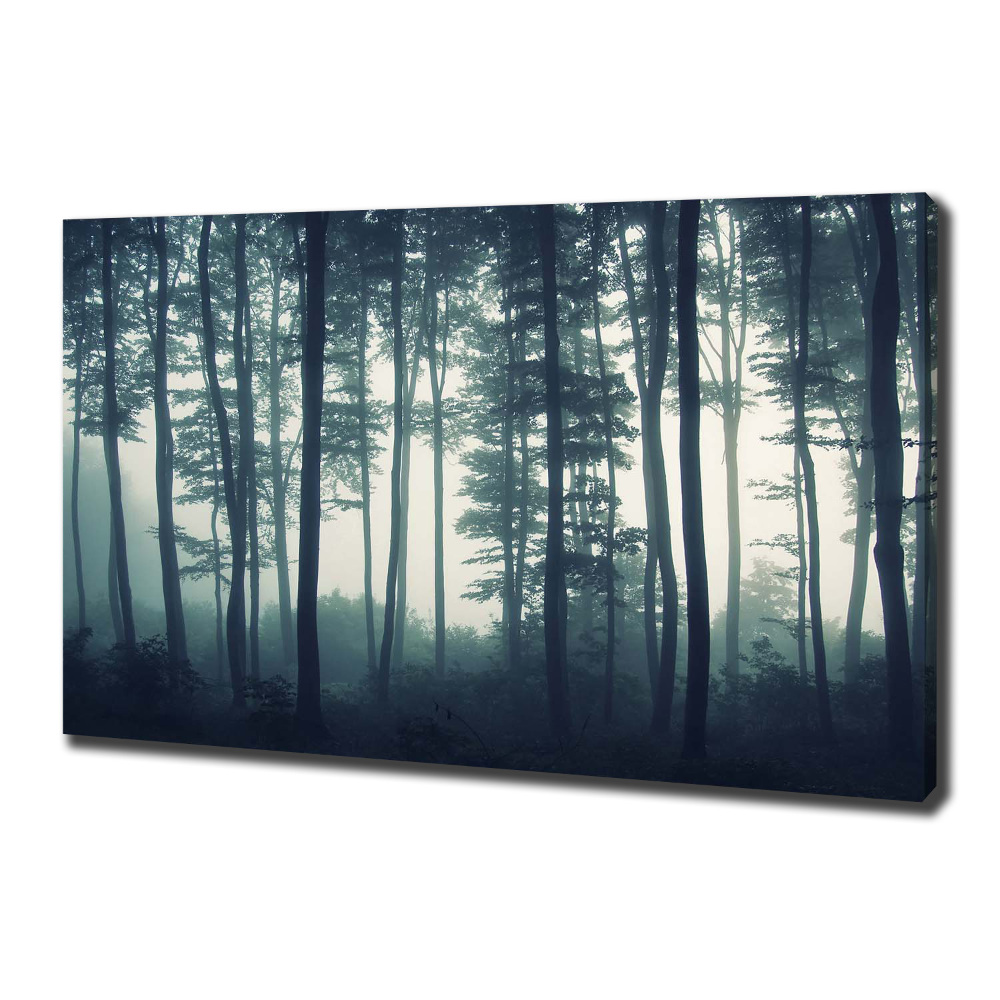 Imprimare tablou canvas Pădure în ceață