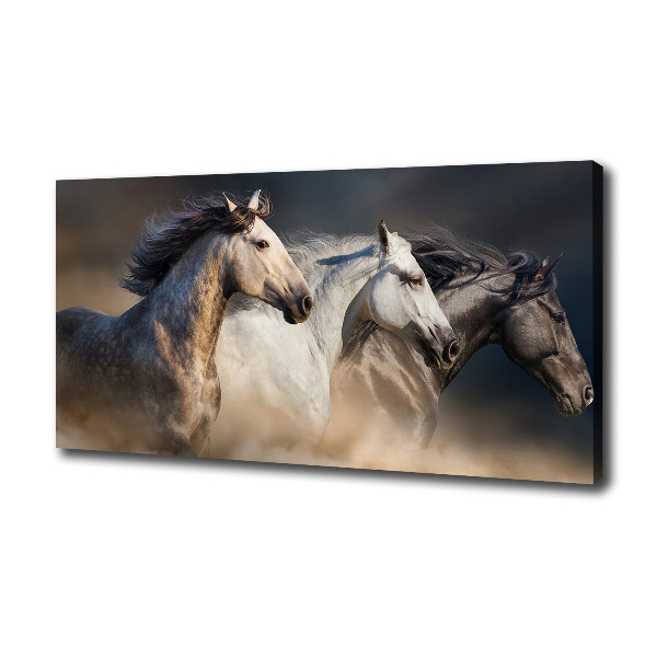 Print pe canvas galopantă Cai