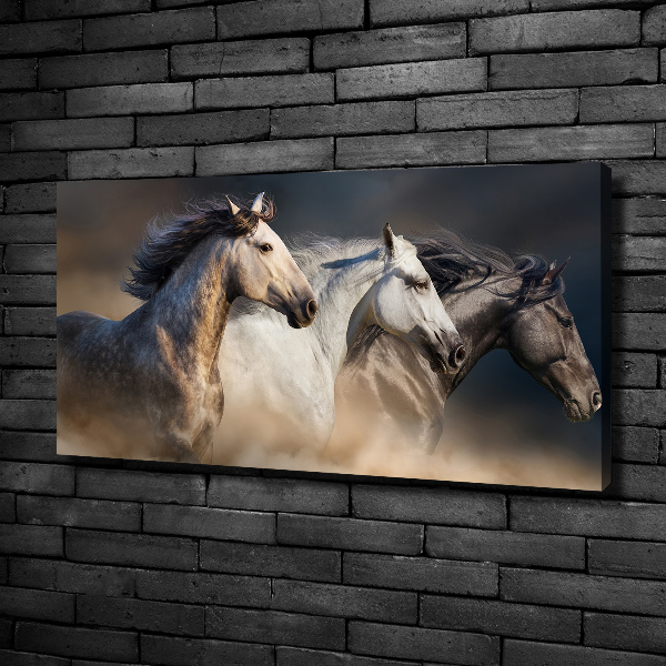 Print pe canvas galopantă Cai