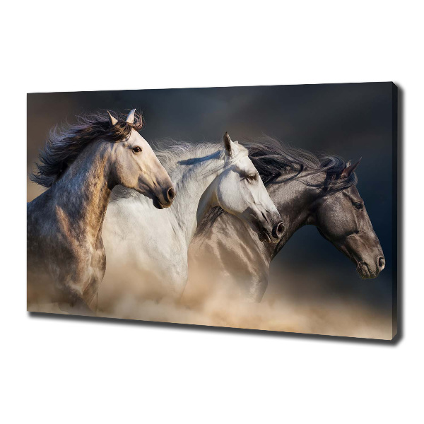 Print pe canvas galopantă Cai