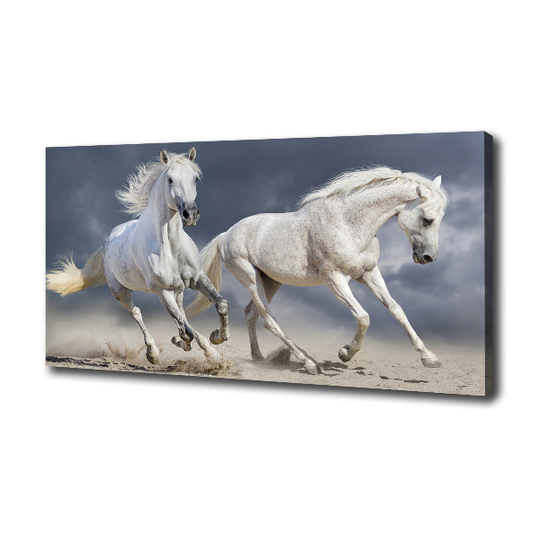 Tablou canvas White Beach Horse