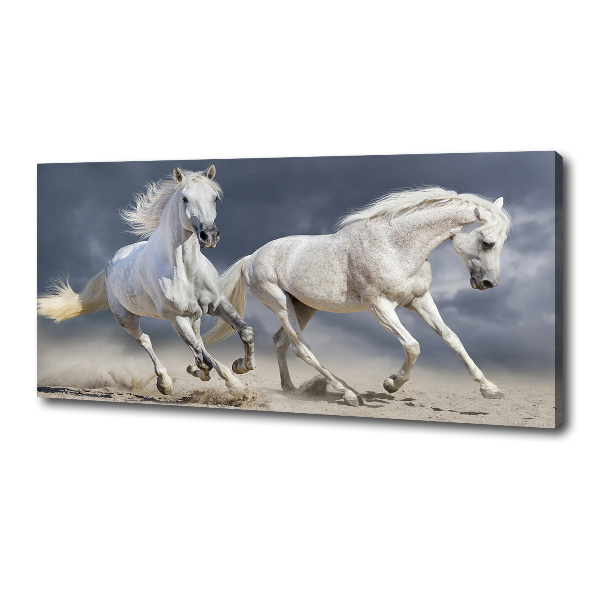 Tablou canvas White Beach Horse