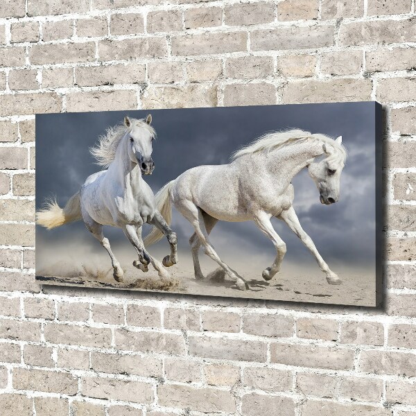 Tablou canvas White Beach Horse