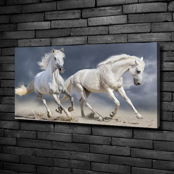 Tablou canvas White Beach Horse