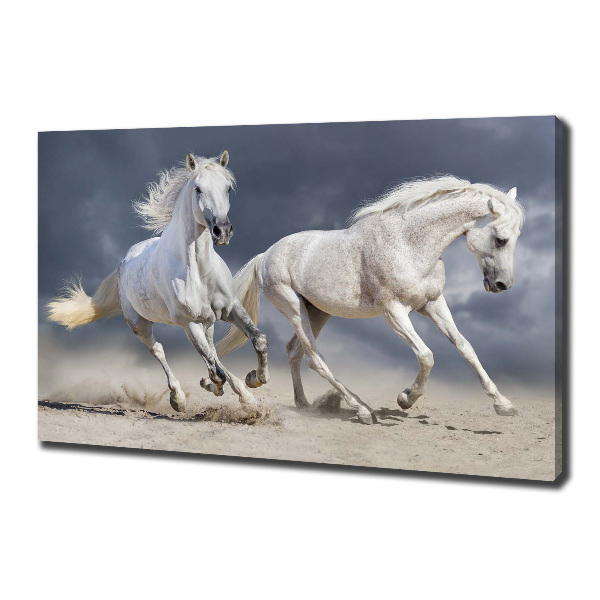 Tablou canvas White Beach Horse