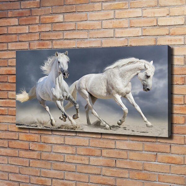 Tablou canvas White Beach Horse