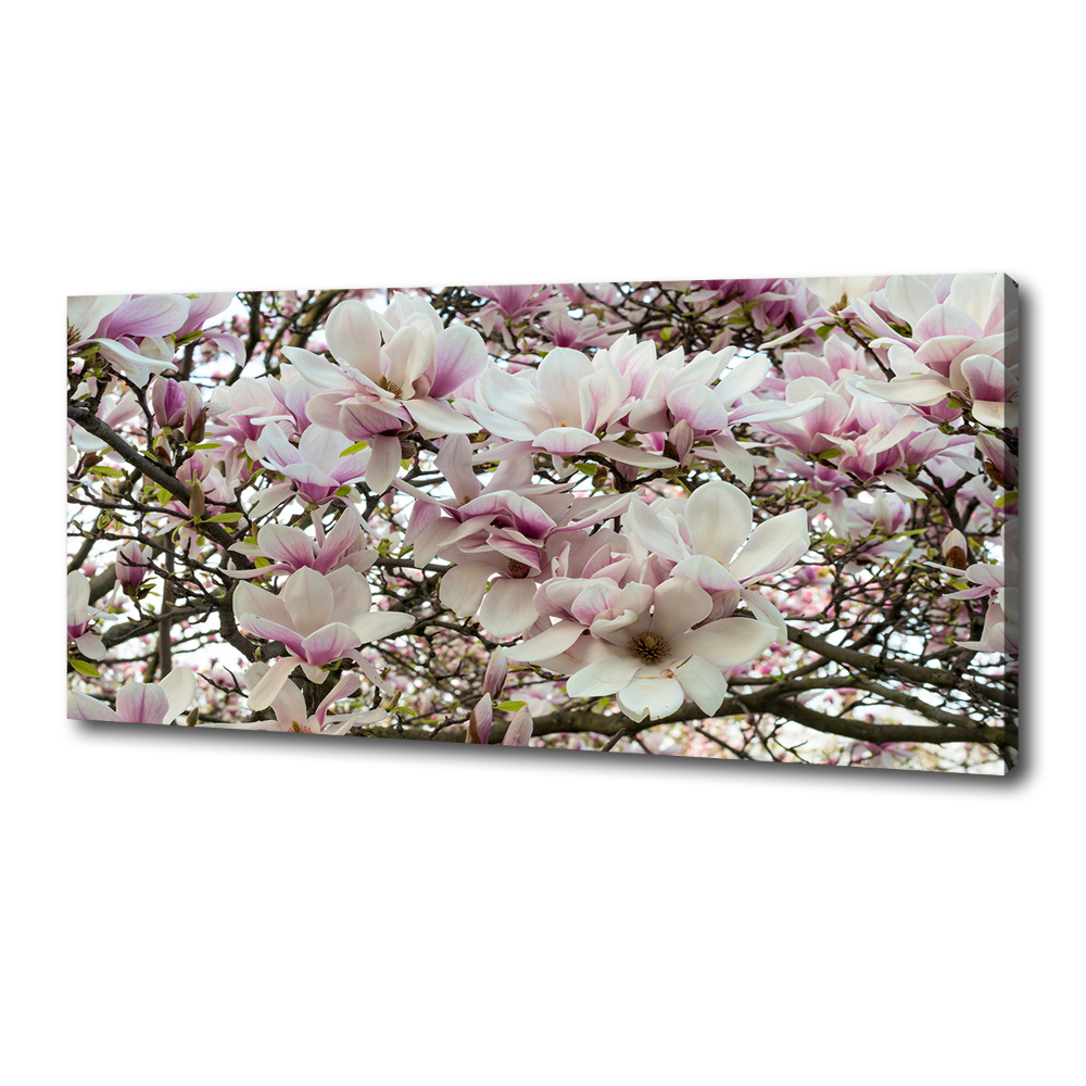Tablouri tipărite pe pânză flori magnolia