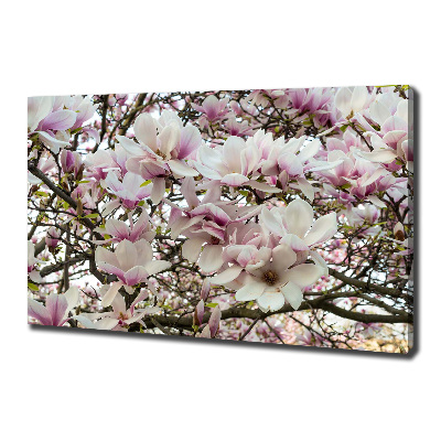 Tablouri tipărite pe pânză flori magnolia