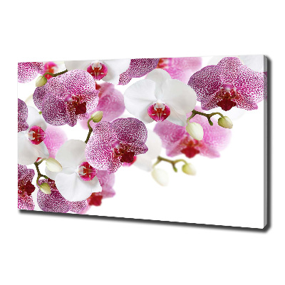 Tablouri tipărite pe pânză Orhidee