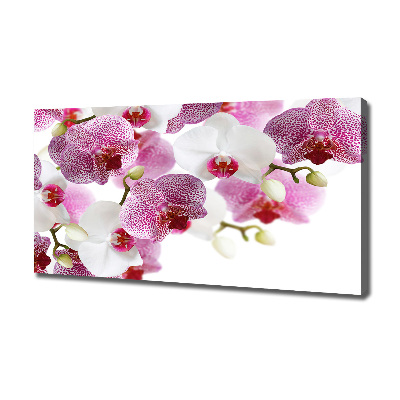 Tablouri tipărite pe pânză Orhidee