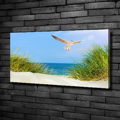 Print pe canvas Seagull pe plajă