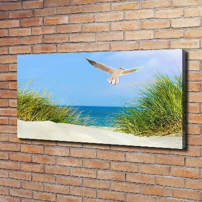 Print pe canvas Seagull pe plajă