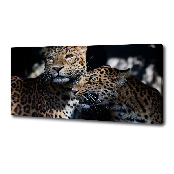 Imprimare tablou canvas doi leoparzi