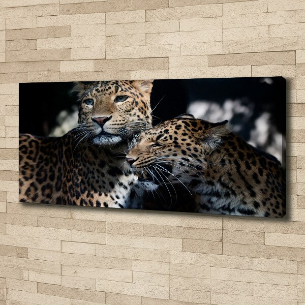 Imprimare tablou canvas doi leoparzi