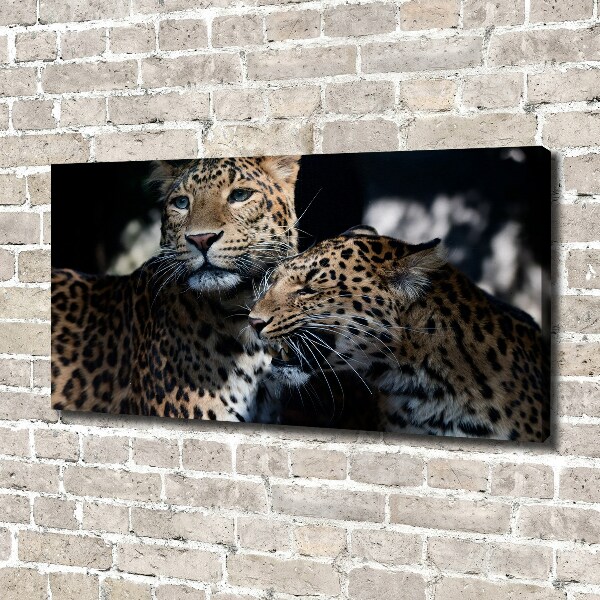 Imprimare tablou canvas doi leoparzi