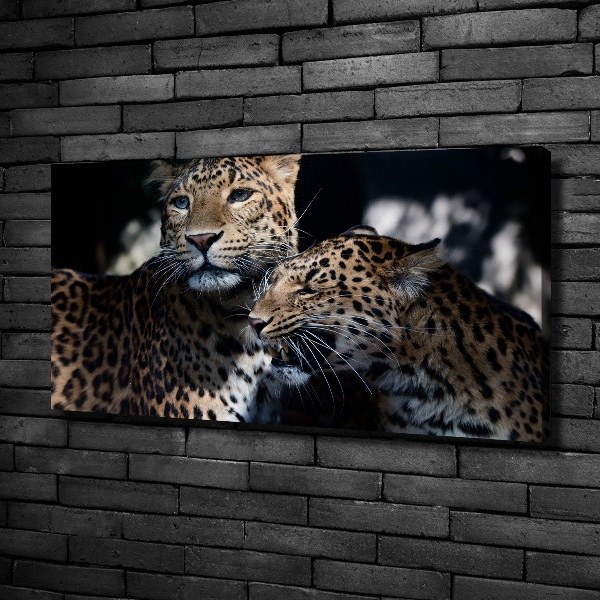 Imprimare tablou canvas doi leoparzi