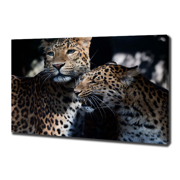 Imprimare tablou canvas doi leoparzi