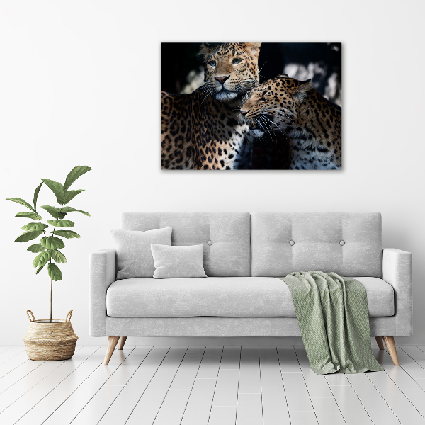 Imprimare tablou canvas doi leoparzi