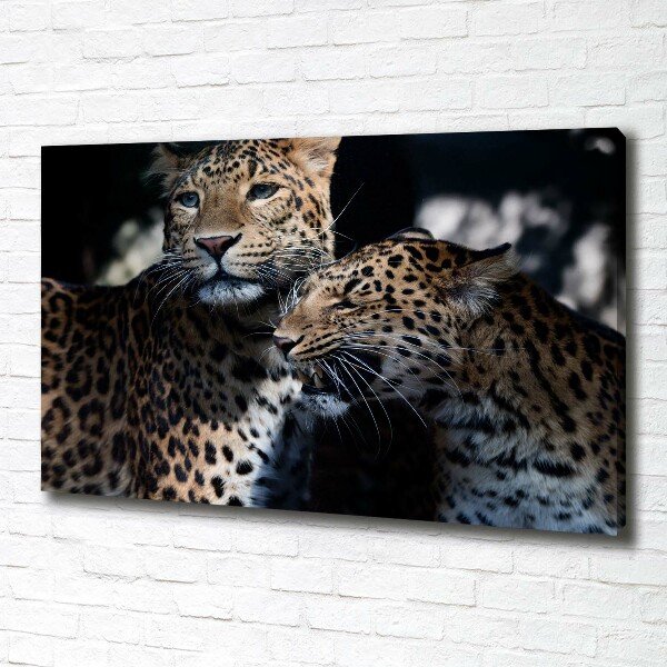 Imprimare tablou canvas doi leoparzi