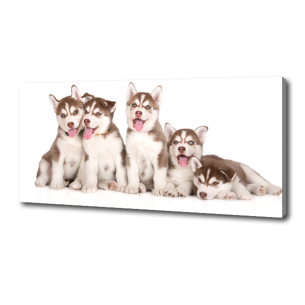 Print pe pânză catelusi Husky