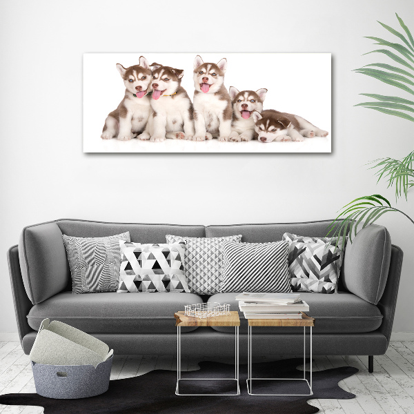 Print pe pânză catelusi Husky