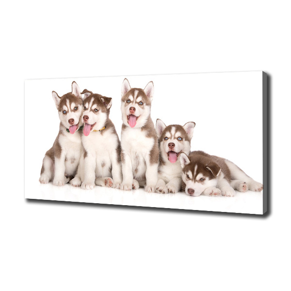 Print pe pânză catelusi Husky