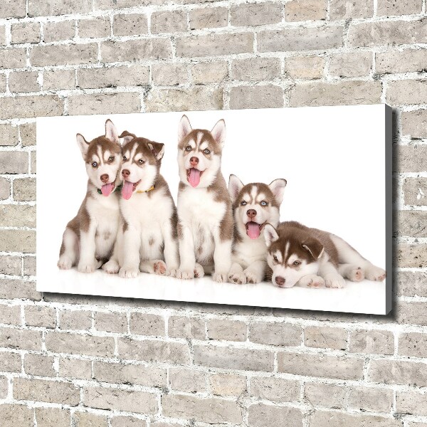 Print pe pânză catelusi Husky