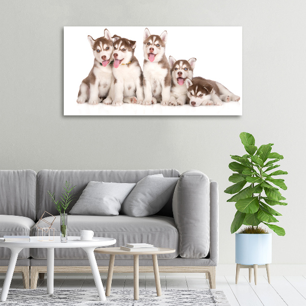 Print pe pânză catelusi Husky