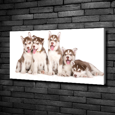 Print pe pânză catelusi Husky