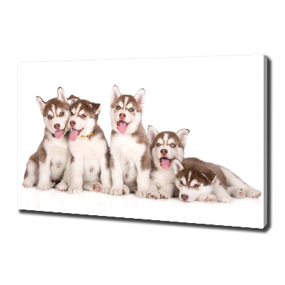 Print pe pânză catelusi Husky