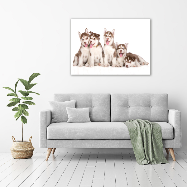 Print pe pânză catelusi Husky