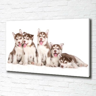 Print pe pânză catelusi Husky